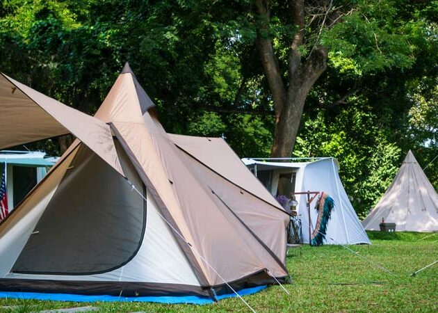 Zeltplatz mit mehreren aufgebauten Zelten auf einer grünen Wiese zwischen Bäumen