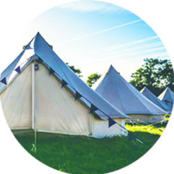 Weiße Zelte auf Wiese