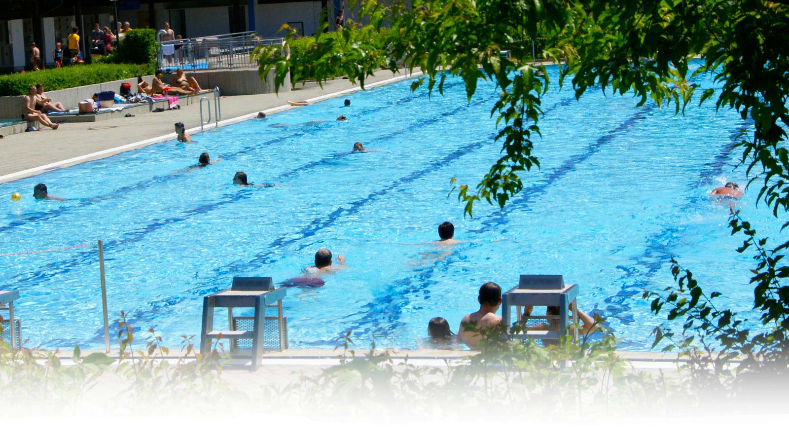 Großes 50 Meter Schwimmbecken des Freibads Mammendorf. Mehrere Badegäste befinden sich im Wasser.